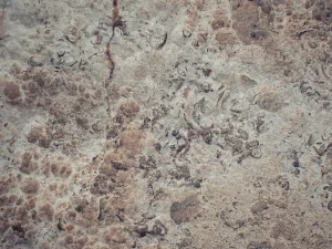 Maintenance of natural stone floors — guide by Projectes Sastre, Mallorca