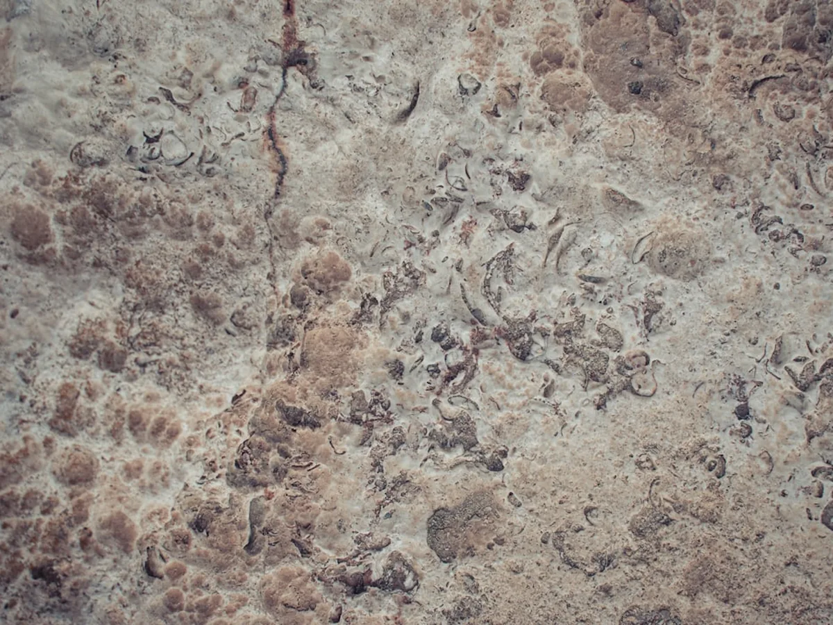 Maintenance of natural stone floors — guide by Projectes Sastre, Mallorca